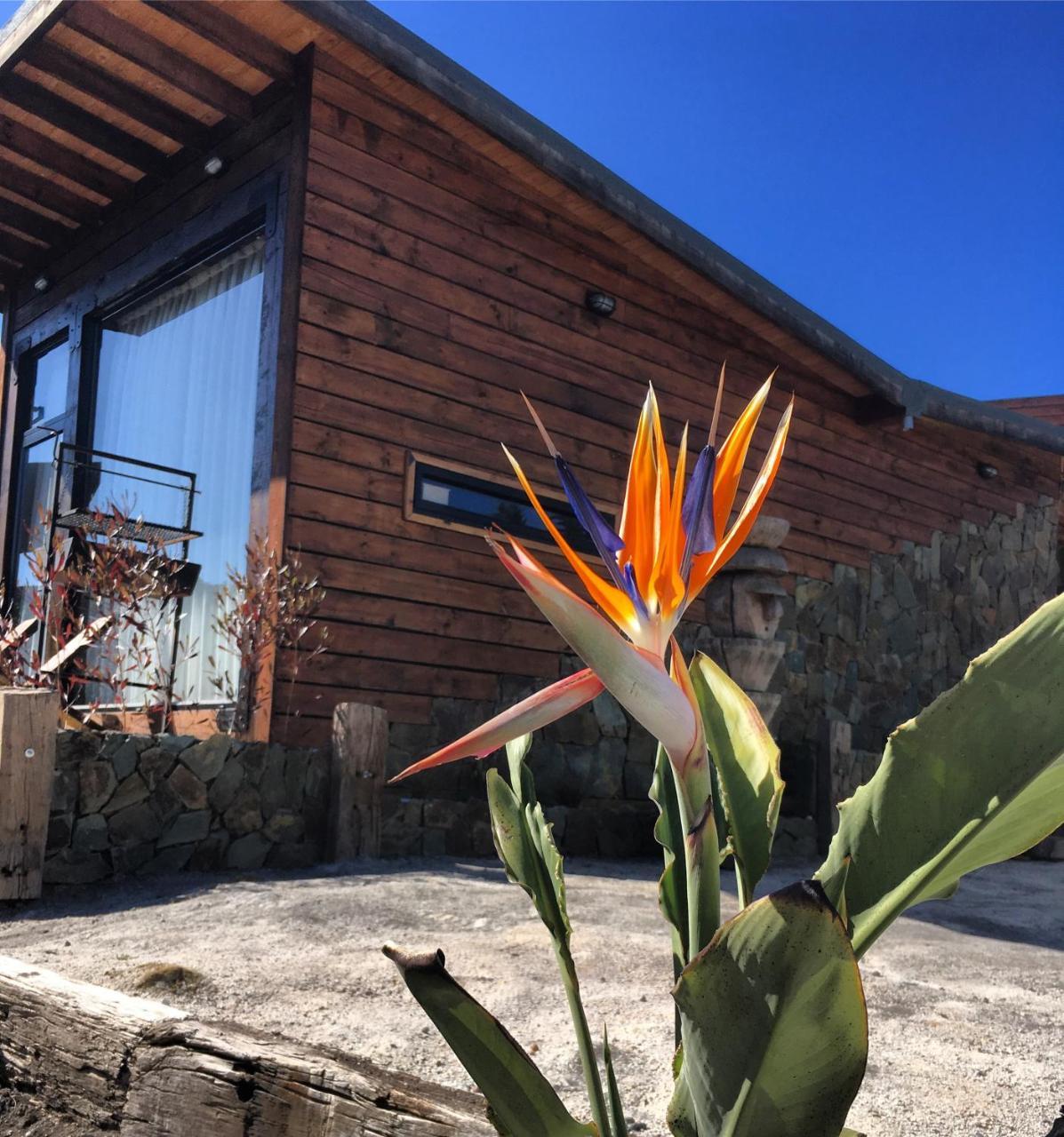 Bed and Breakfast Palo Santo Pichilemu Exterior foto